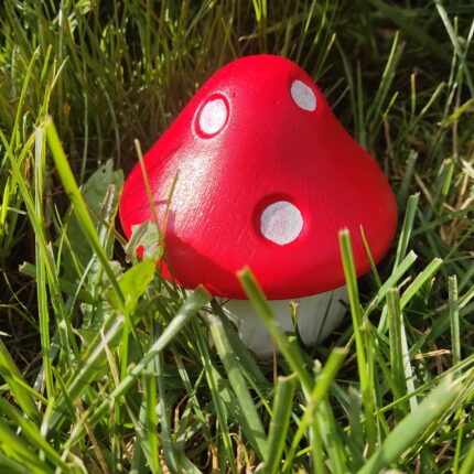 Декоративна гъбка голяма